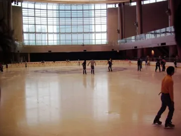 Ice Rink Solution