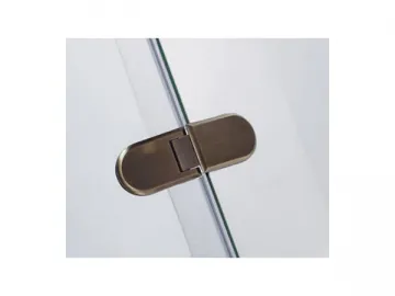 Shower Door Hinge