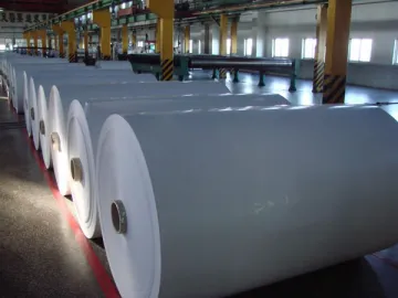 Printing Paper (Coated Paper)