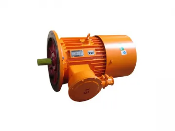 Explosion-proof Three-phase Induction Motor for Hoist