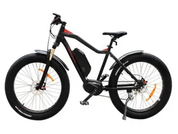 TG-S001 Fat Tire Electric Bike