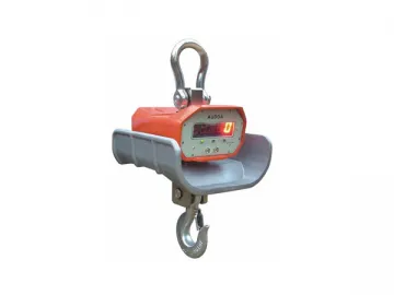 Heat Resistant Crane Scale