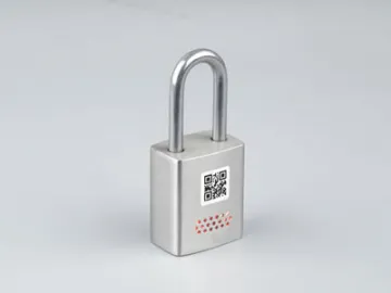 DS918-2A Electromechanical Lock