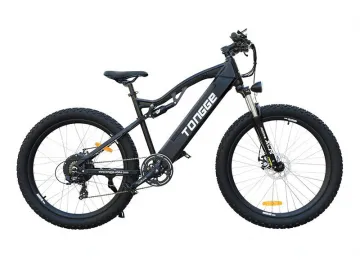 TG-M003 Electric Mountain Bike