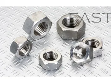 Stainless Steel Nut