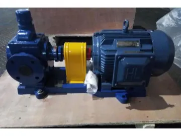 Stainless Steel Magnetic Pump