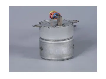 PMG25/35 Series Geared Stepper Motor