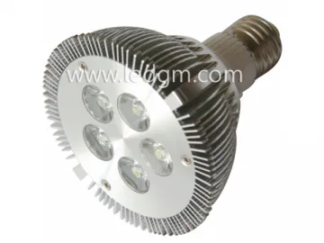 PAR30 LED Par Light 10W