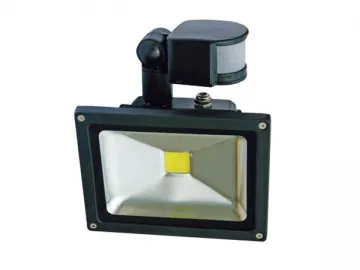 50W LED Flood Light