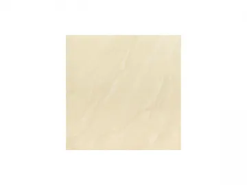 Soluble Salt Ivory Polished Tile