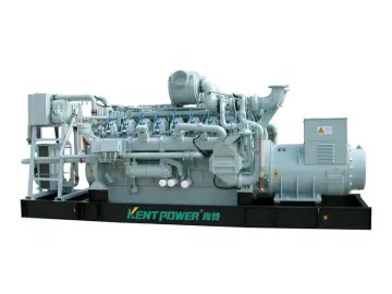 Natural Gas Generator