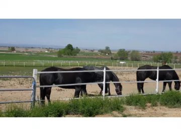 Livestock Fencing