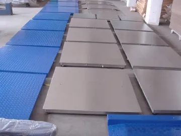 Floor Scale (Stainless Steel)