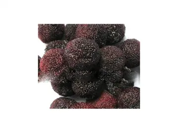 Frozen Waxberry (IQF Fruit)