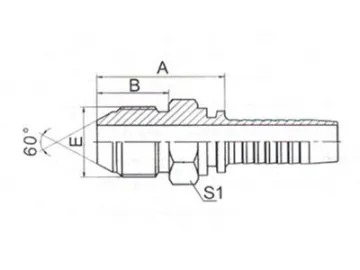 19611 BSP Male Fittings 60° Cone