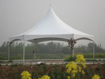 Hexagon Marquee