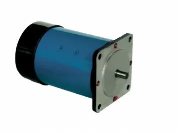 Micro DC Servo Motor