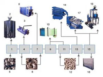 Cashew Processing Equipment