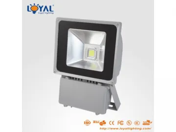 LED Flood Light