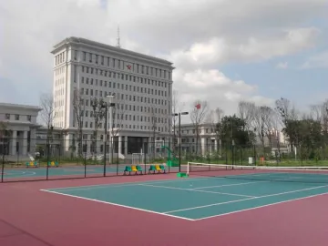 Basketball Court