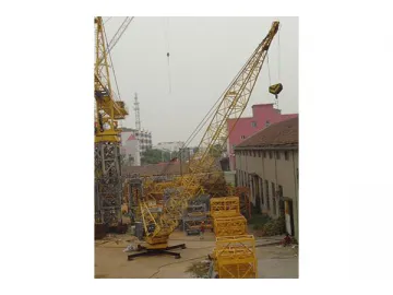 WQ20 Luffing Jib Crane