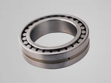 Double Row Cylindrical Roller Bearing