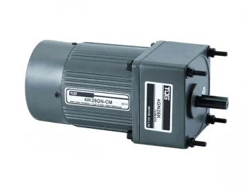 Micro AC Brake Gear Motor