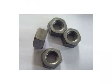 Hex Nuts