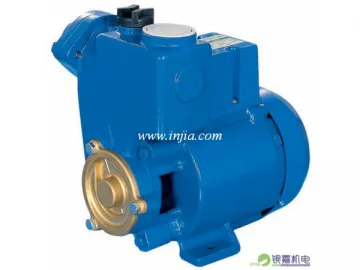 GP125Z Peripheral Pump