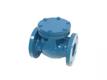 SHC-1F Check Valve