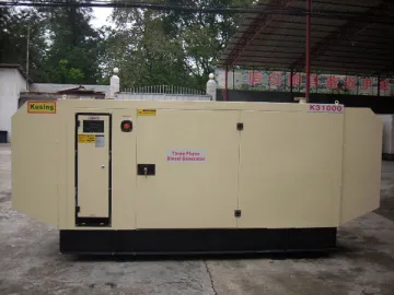 Perkins Diesel Generator, PK32800