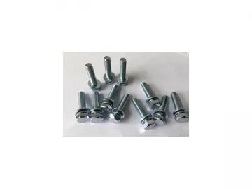 Custom Bolts