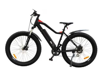 Electric bike lithium battery charging and maintenance