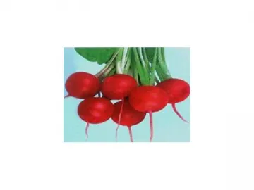 Radish Red Pigment