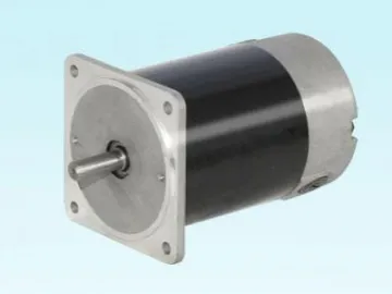 71ZY110 Permanent Magnet DC Motor