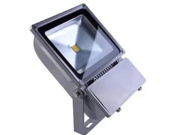 100W LED Floodlight