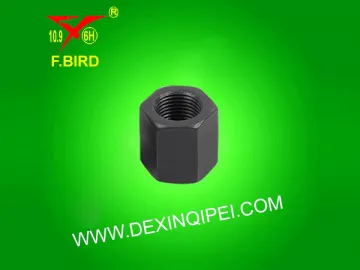 High Nut/Long Nut/U Bolt Nut (DX0050-C)