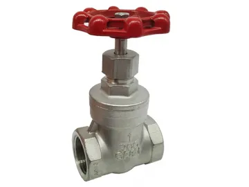 316 Stainless Steel Gate Valve