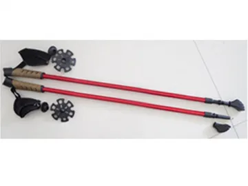 PP and Cork Grip Alpenstock