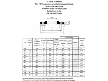 EN1092-1 Threaded Flange