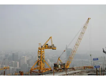 WQ50 Luffing Jib Crane