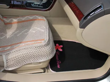 Car Mat