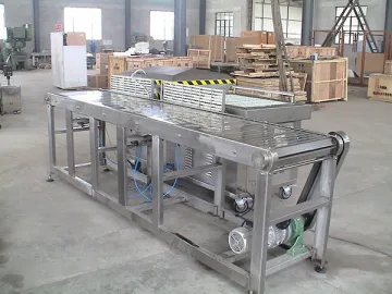 Conveyor for Vacuum Packaging