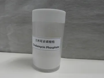 Clindamycin Phosphate