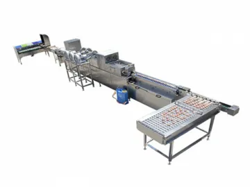 301A Egg Processing  Line with Cleaning &amp; Grading (5000 EGGS/HOUR)