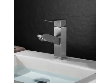 Sink Faucet  SW-BFP002