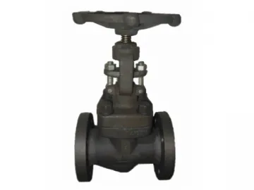 Forged Steel Globe Valve