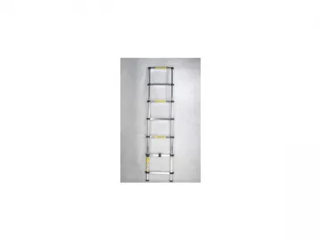 Aluminum Extension Ladder