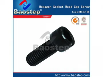 Hexagon Socket Head Cap Screw