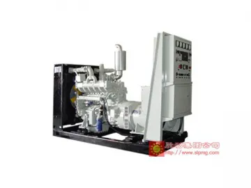 24kW-140kW Biogas Generator Set